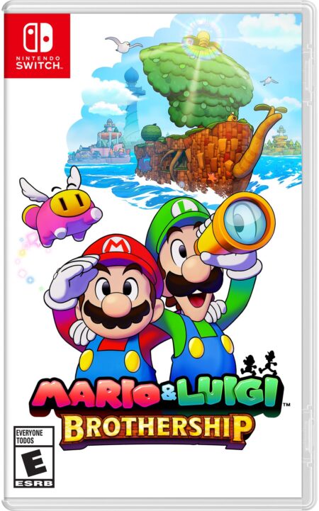 mario & luigi brothership switch